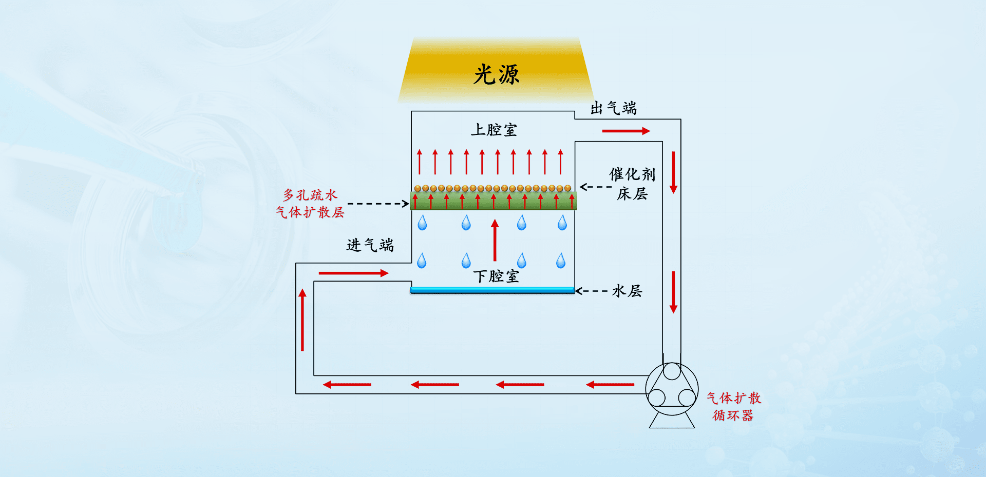 反应体系